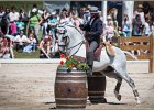 Pferd International 103